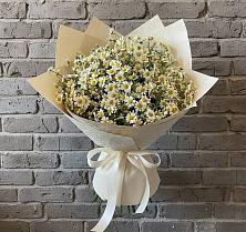Букет цветов из:  Ромашки в Троицком Омской области
