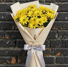 Букет цветов из:  Хризантемы в Троицком Омской области