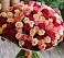 Букет 101 Разноцветная роза в Троицком Омской области