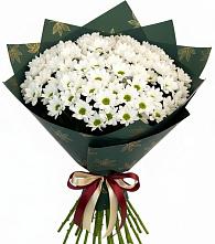 Букет цветов из:  Хризантемы в Троицком Омской области