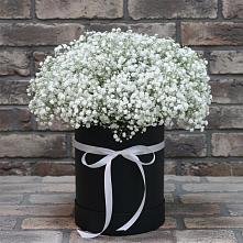 Цветочная композиция из Гипсофила в шляпной коробке в Троицком Омской области