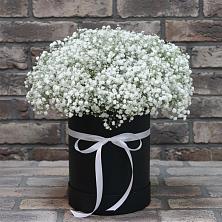 Цветочная композиция из Гипсофила в шляпной коробке в Троицком Омской области