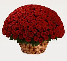 Премиум букет из: Розы в Троицком Омской области